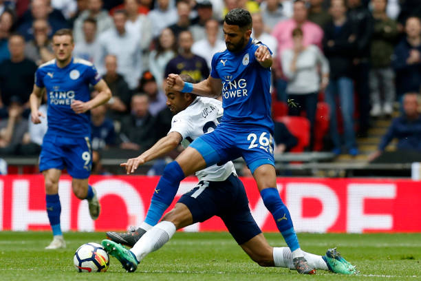 岁的新星 岁的新星